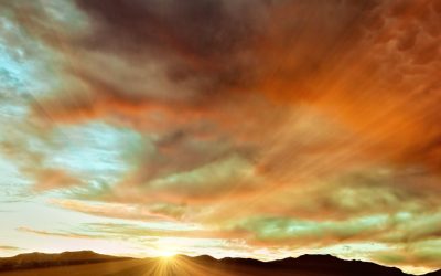 VIDEO: Your spouse just passed away… what should you do?